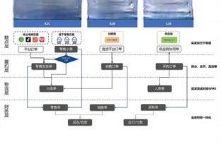 专家：外界只关注切尔西的引援，但他们出售球员的利润是英超第一